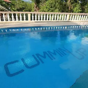 cummin-up.comcaribbean.com/